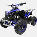 Mini Quad 1000w E-AVENGER 6″